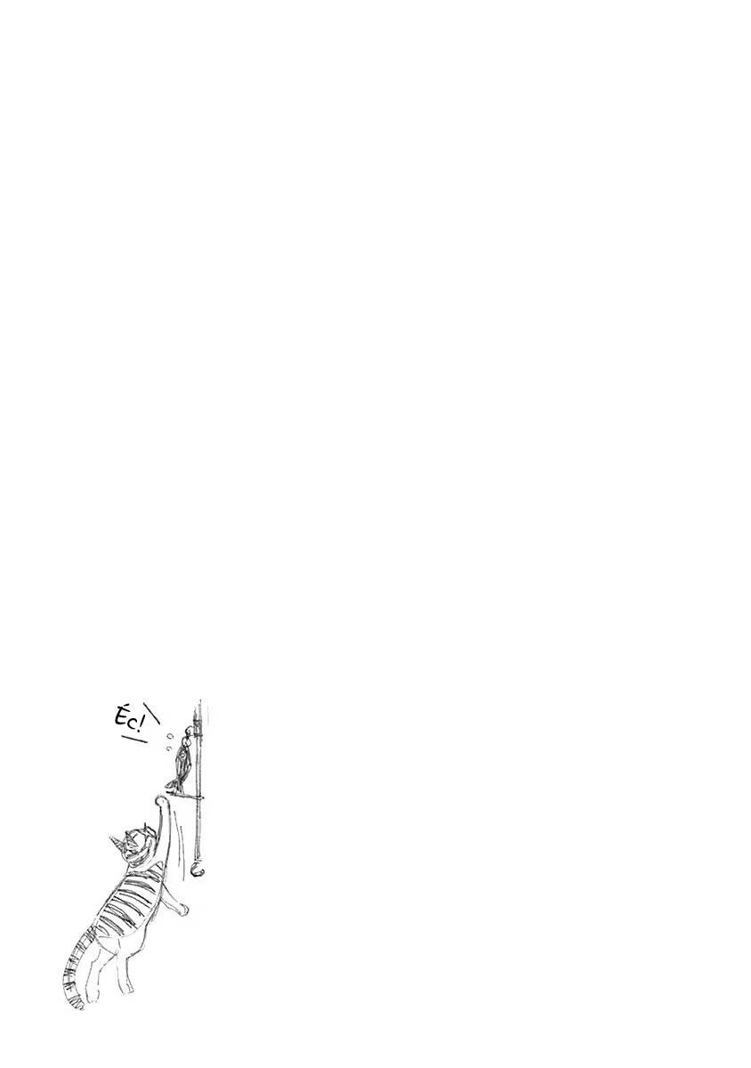 image 26