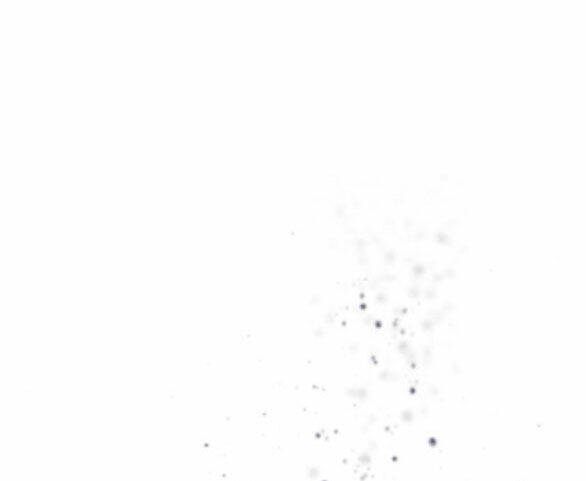 image 33