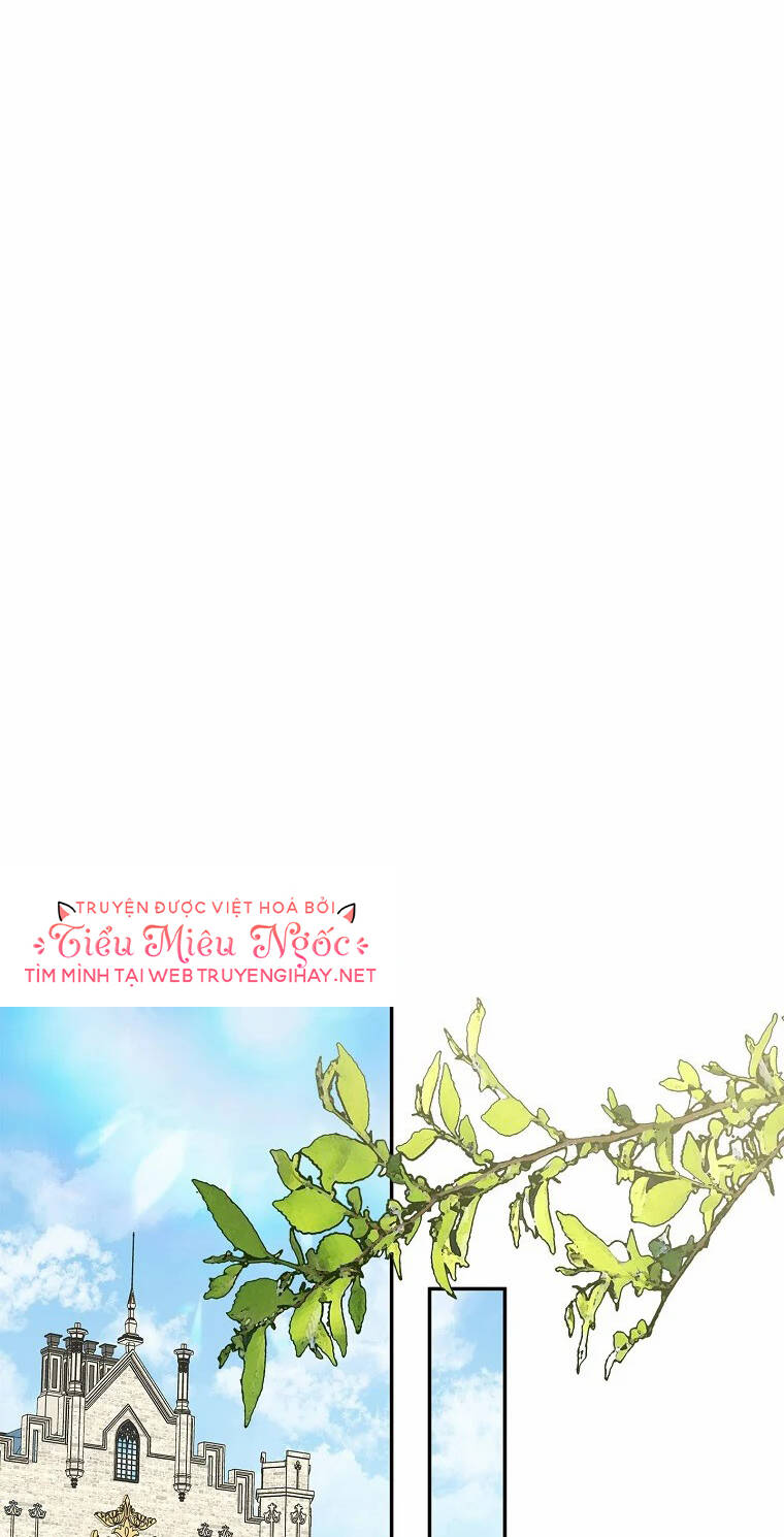 image 33