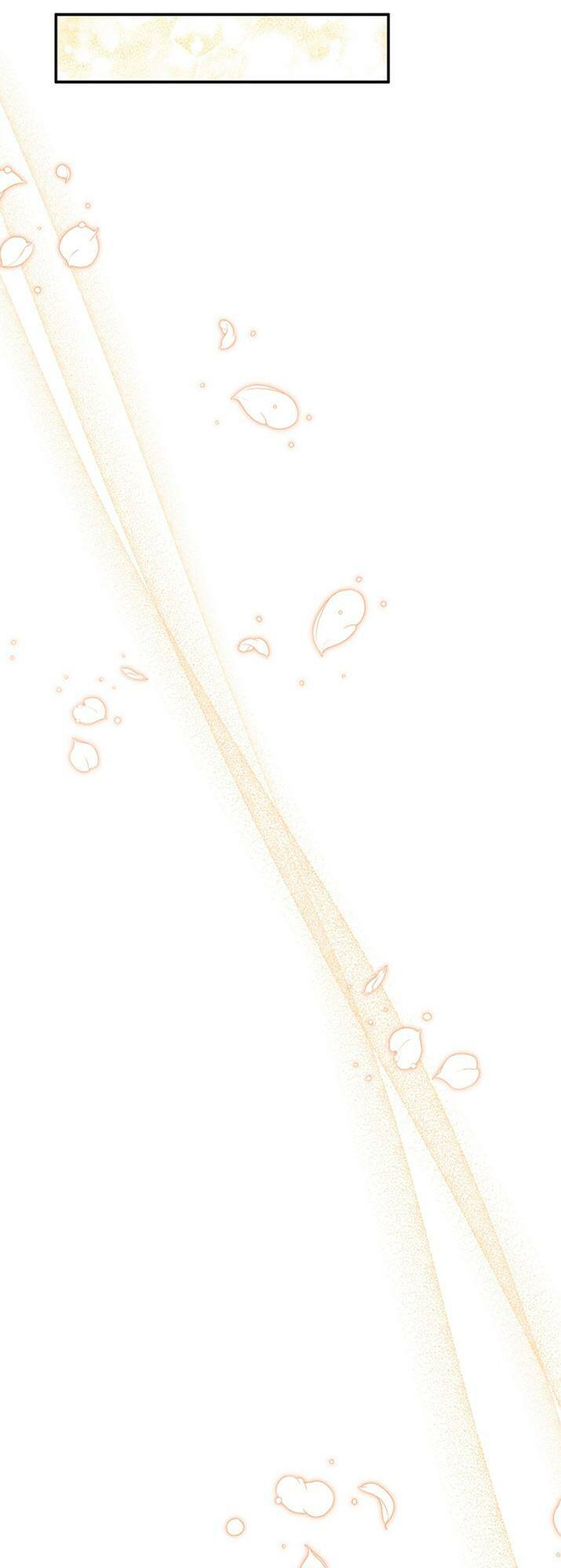 image 31