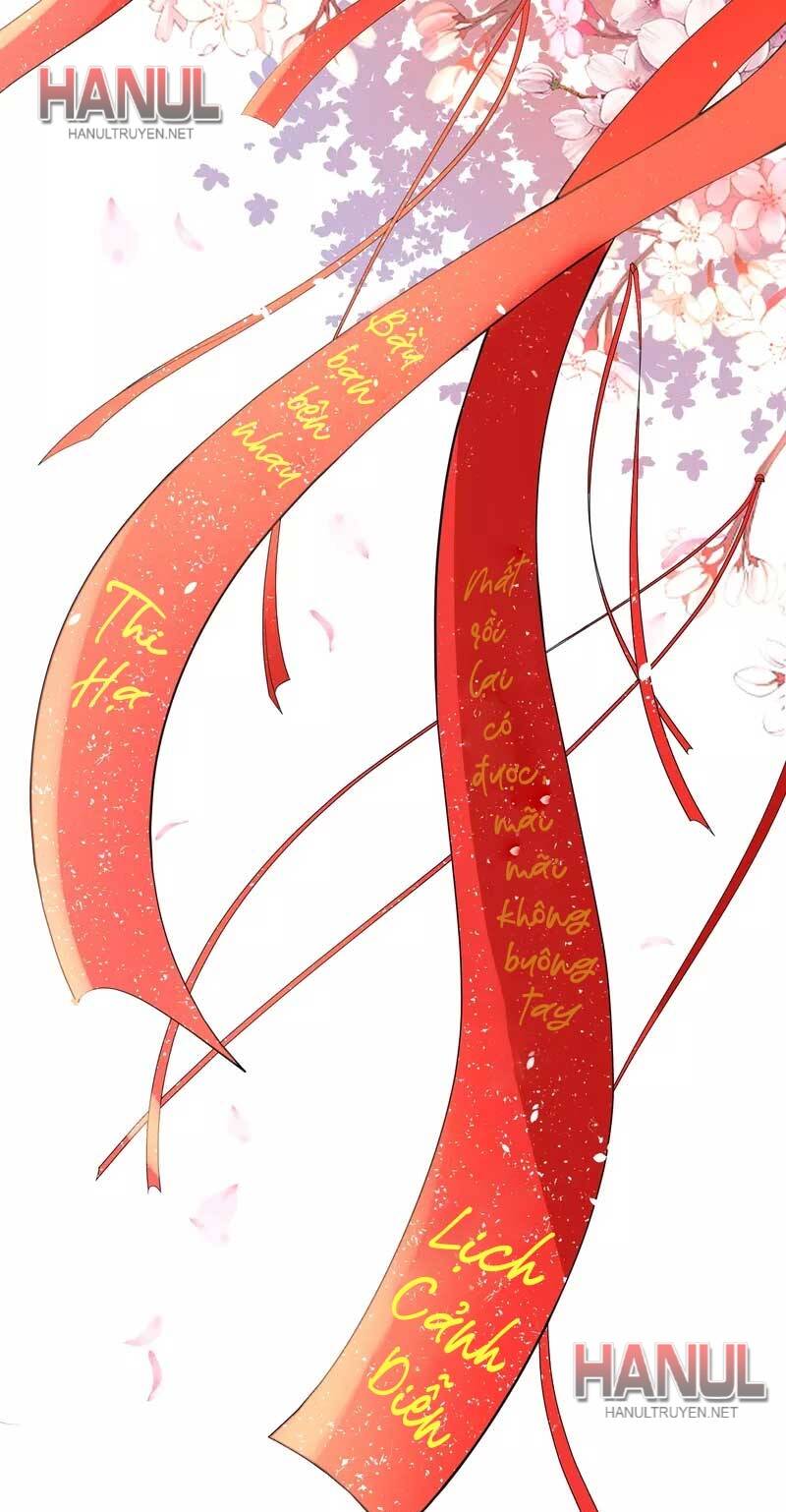image 32