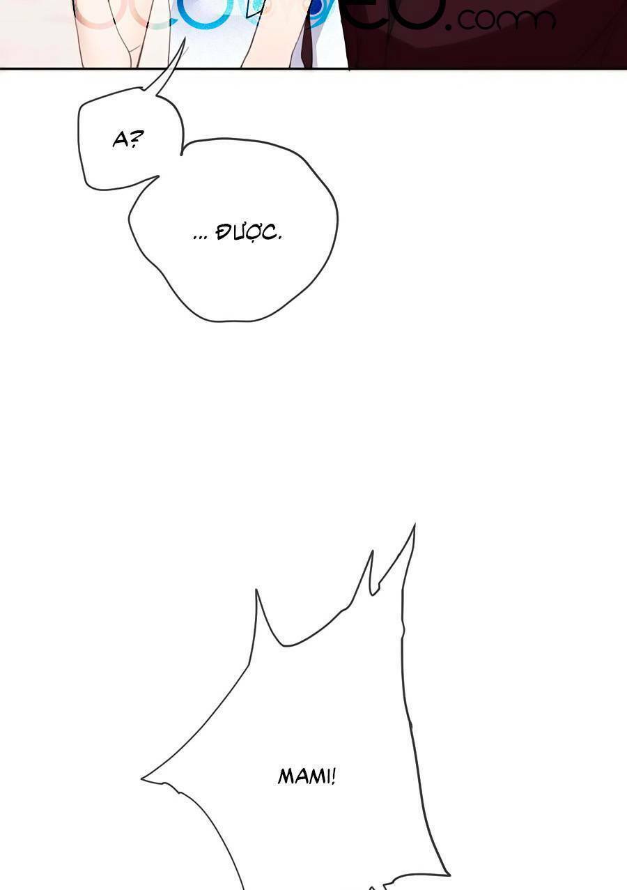 image 38
