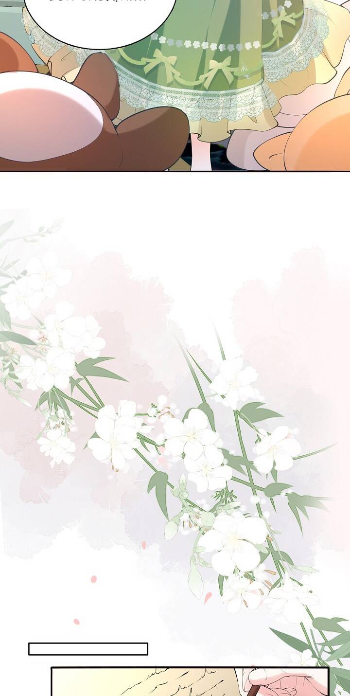 image 24