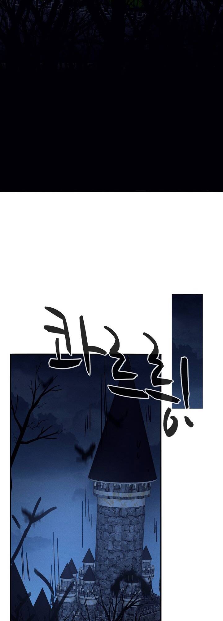 image 41