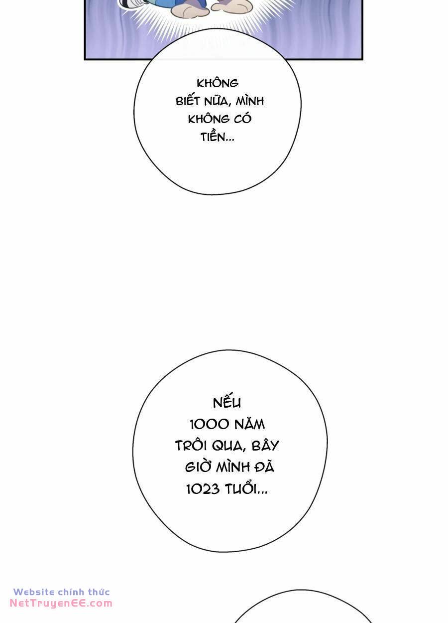 image 46