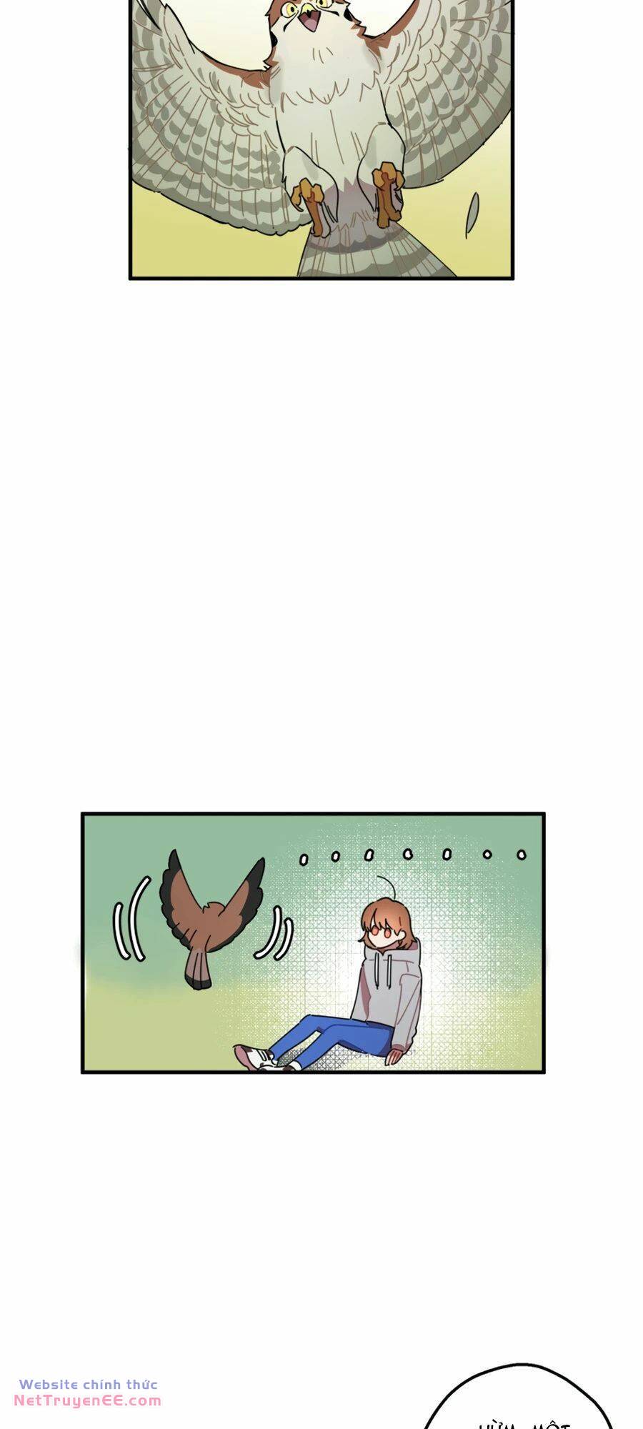image 31