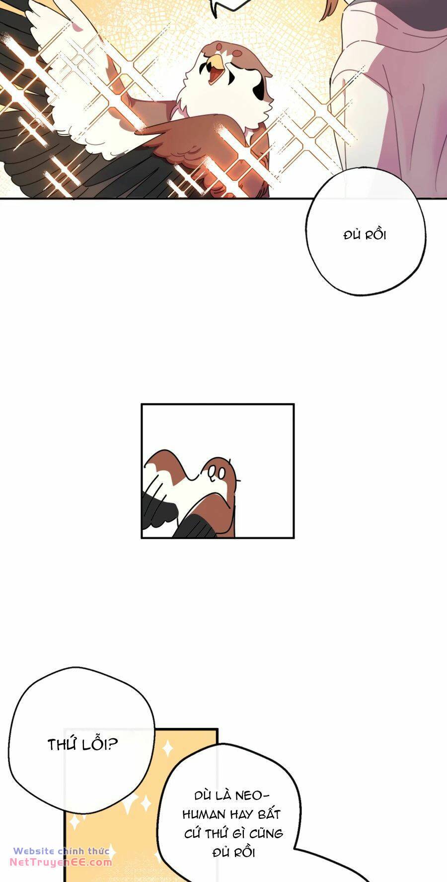 image 47