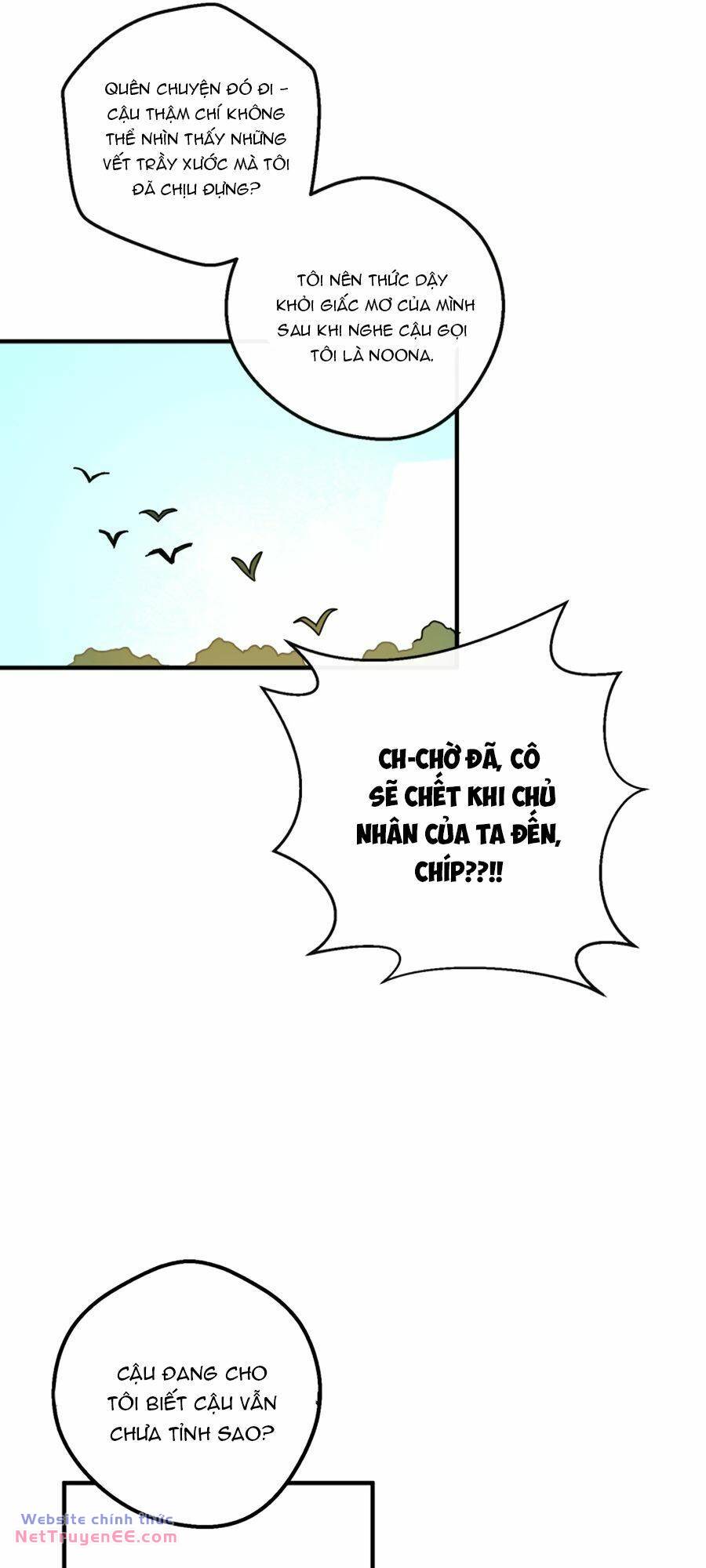 image 49
