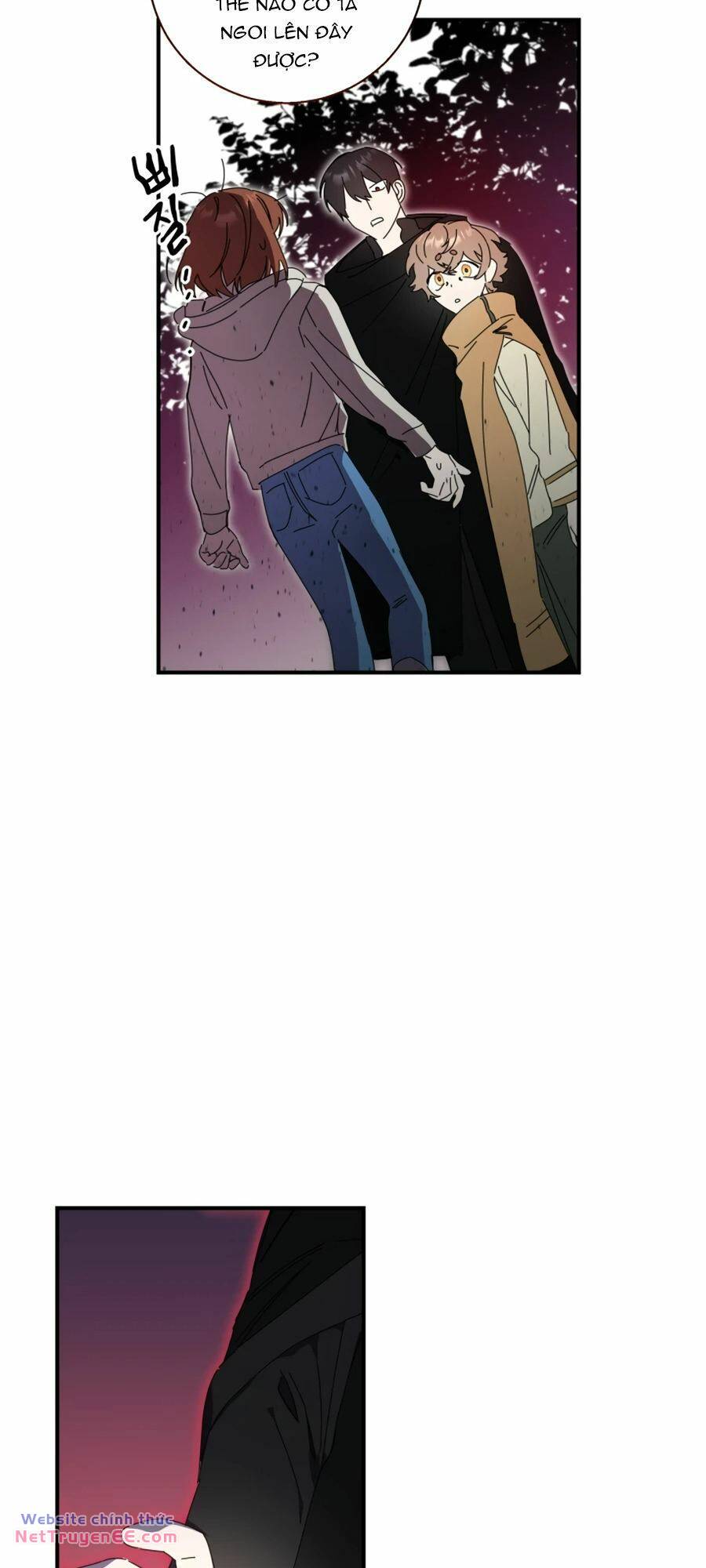 image 37