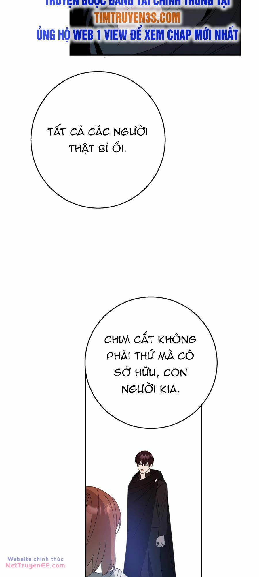 image 34