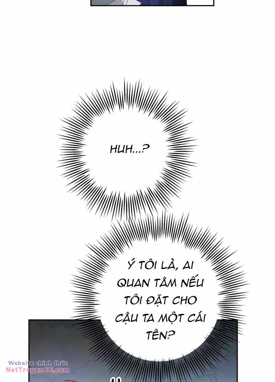image 35