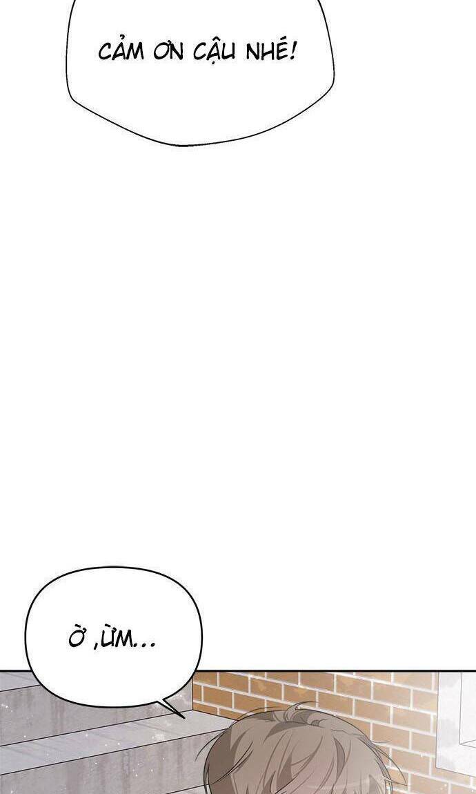 image 41
