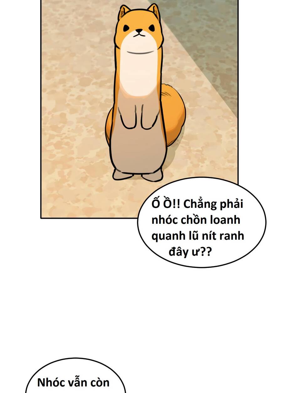 image 72