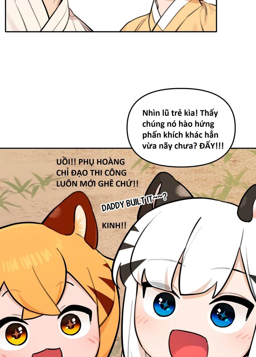 image 31