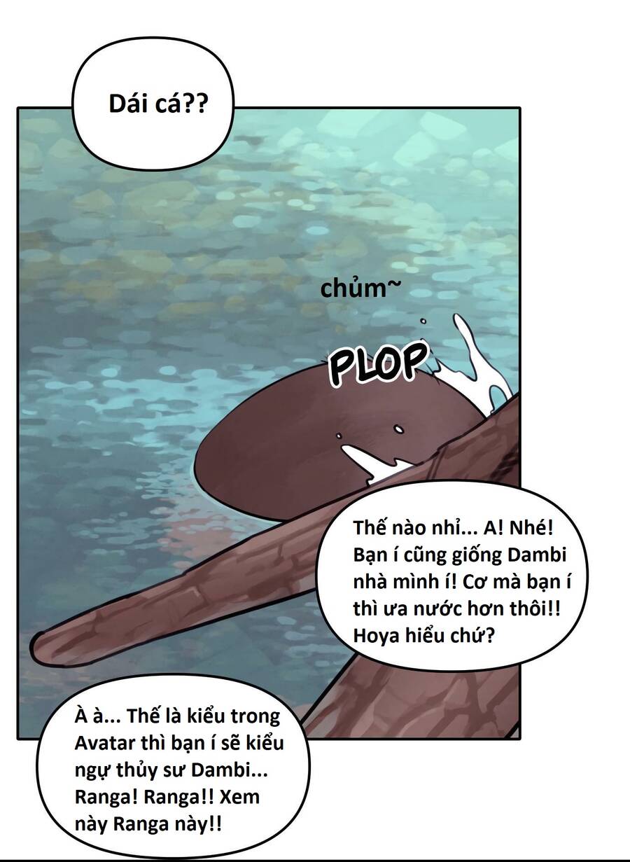 image 31