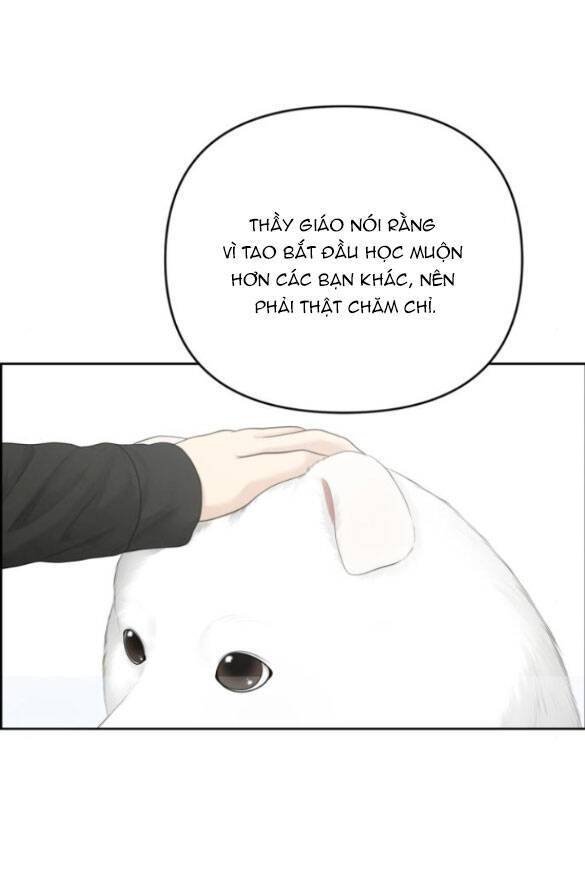 image 31