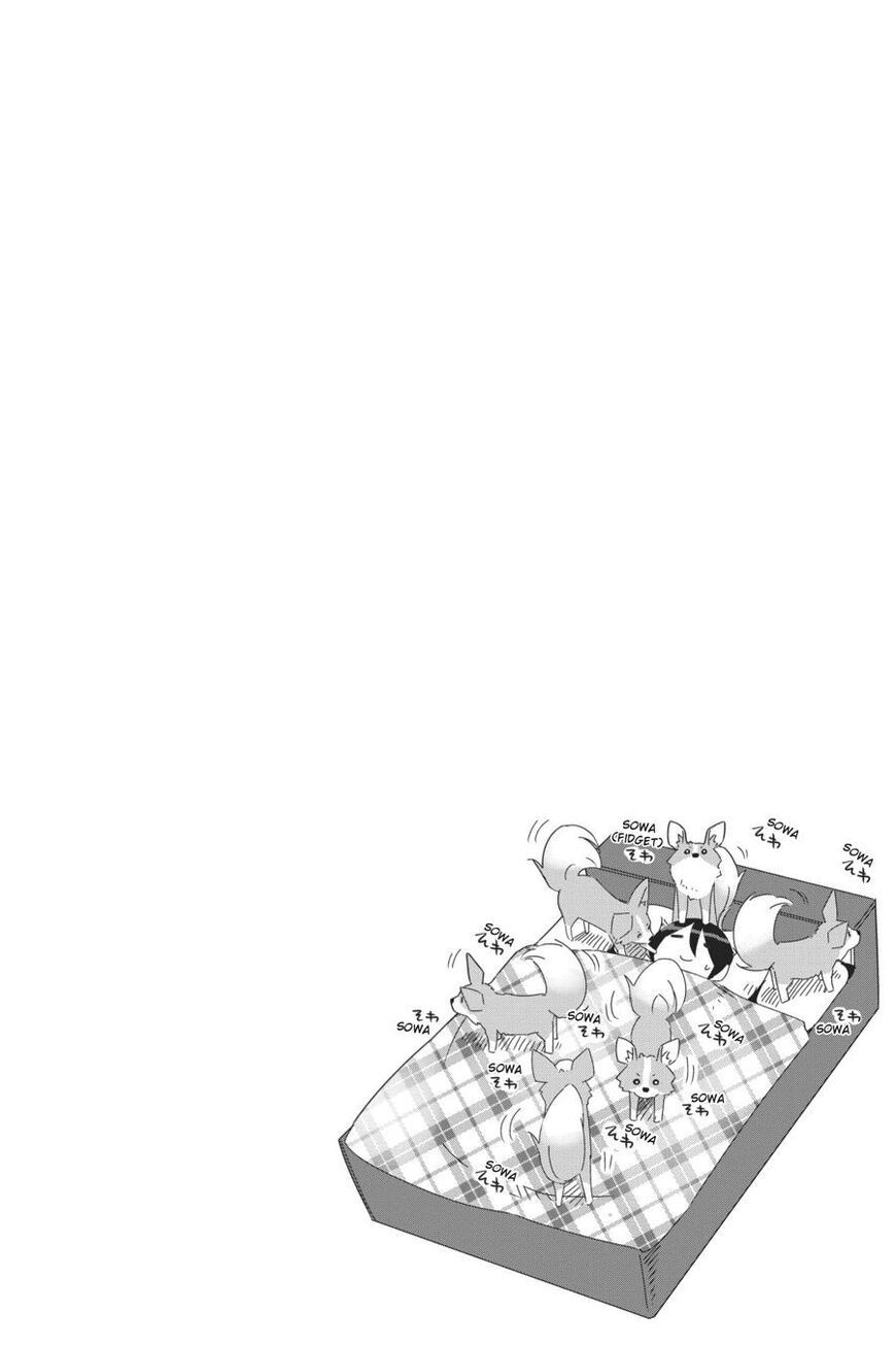 image 31