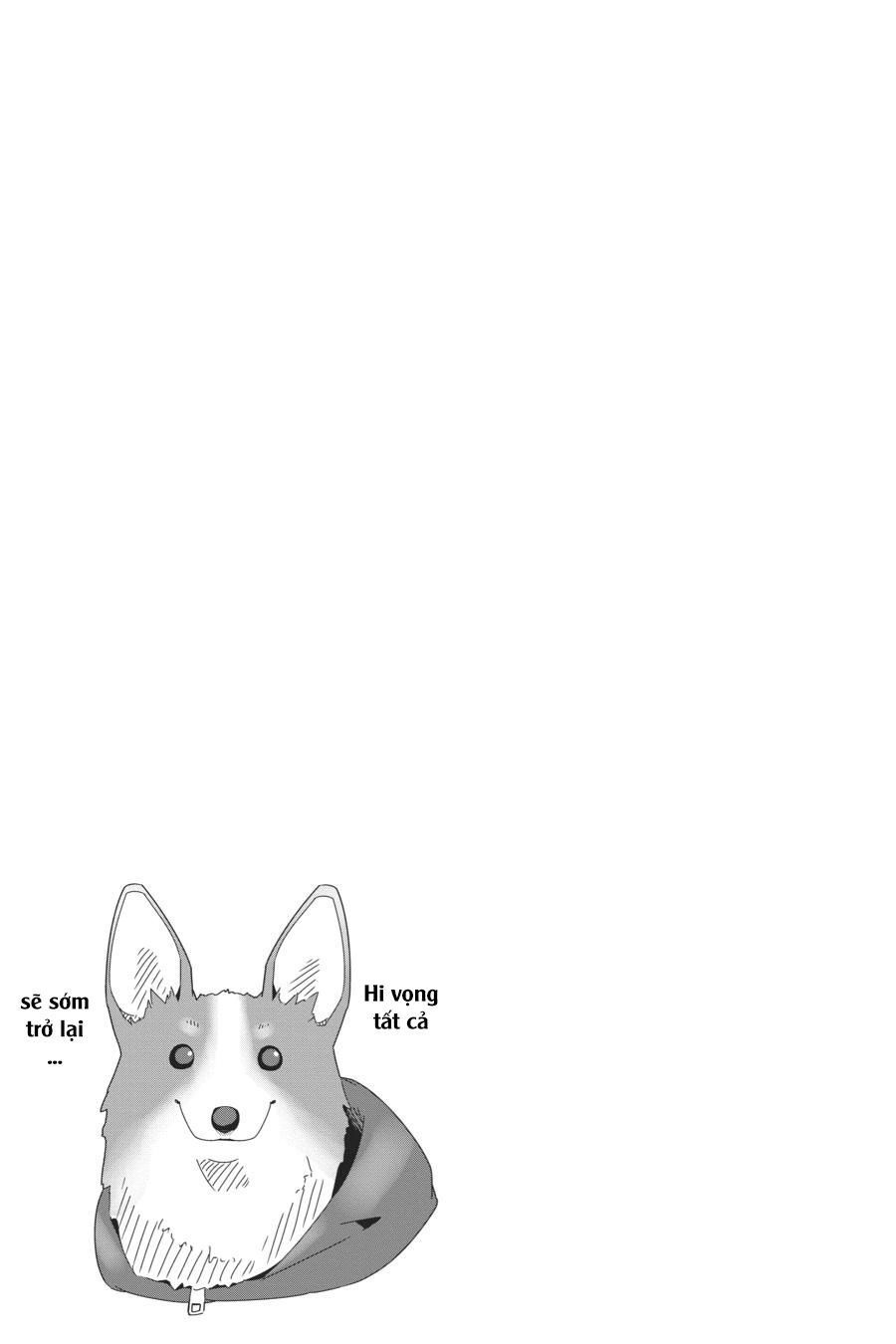 image 27