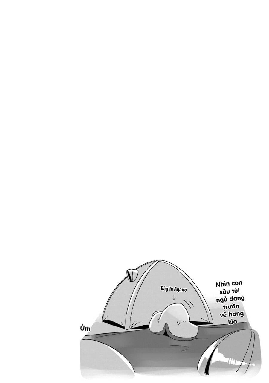 image 28