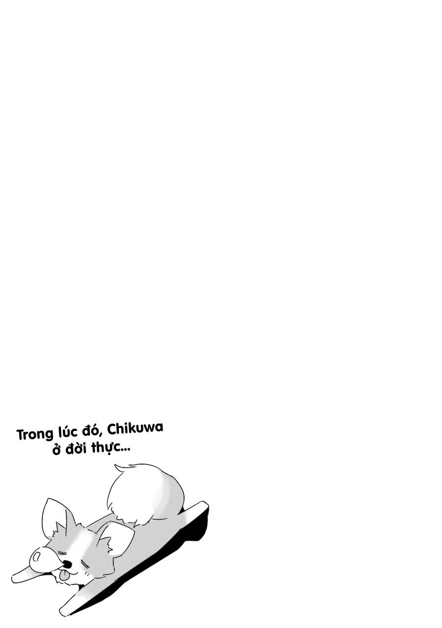 image 28
