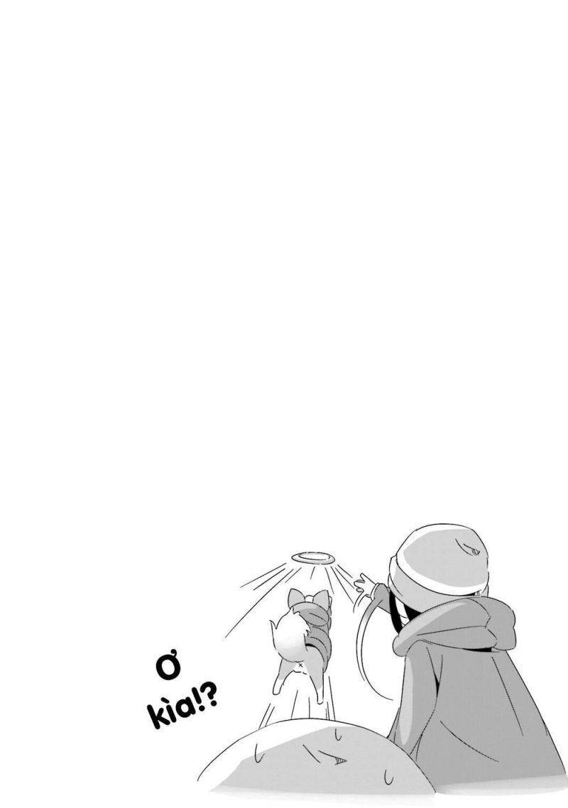 image 29