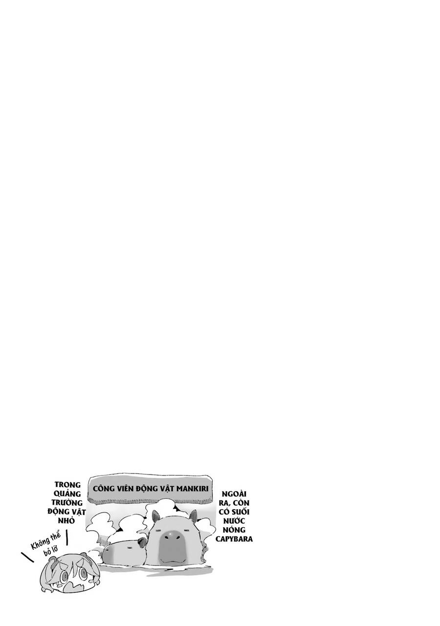 image 31