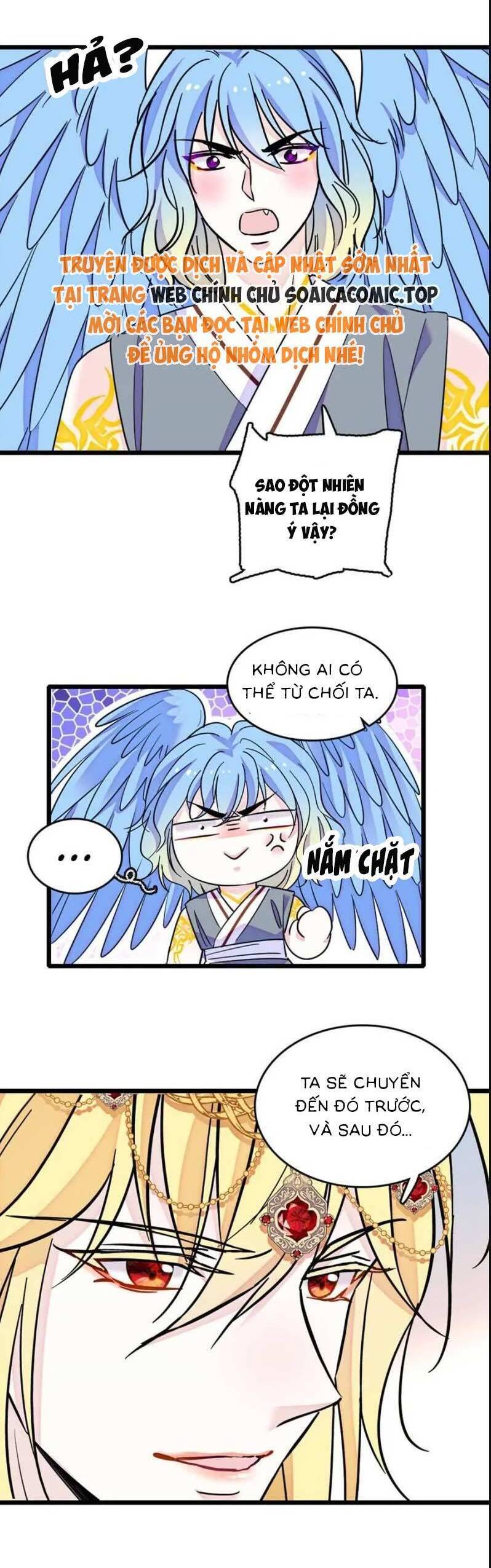 image 23