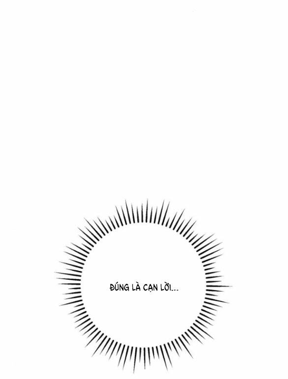 image 28