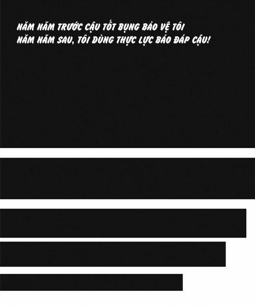 image 41