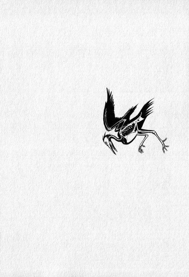 image 47