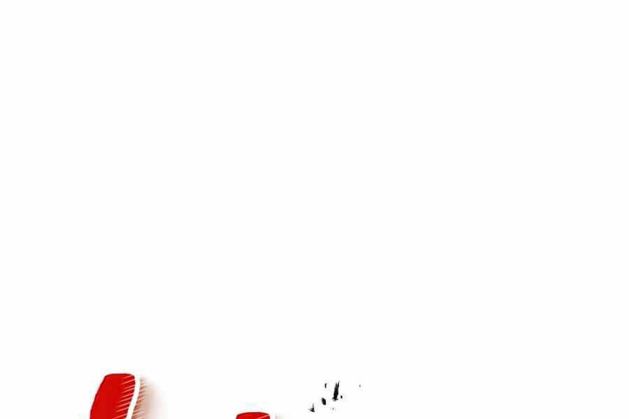 image 247
