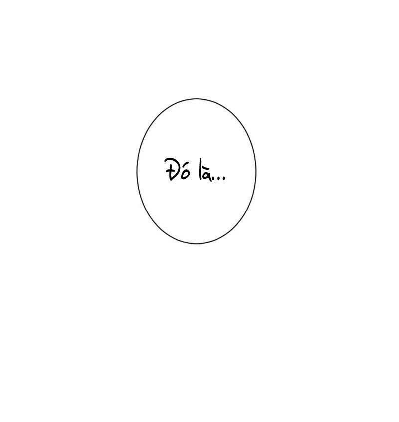 image 27