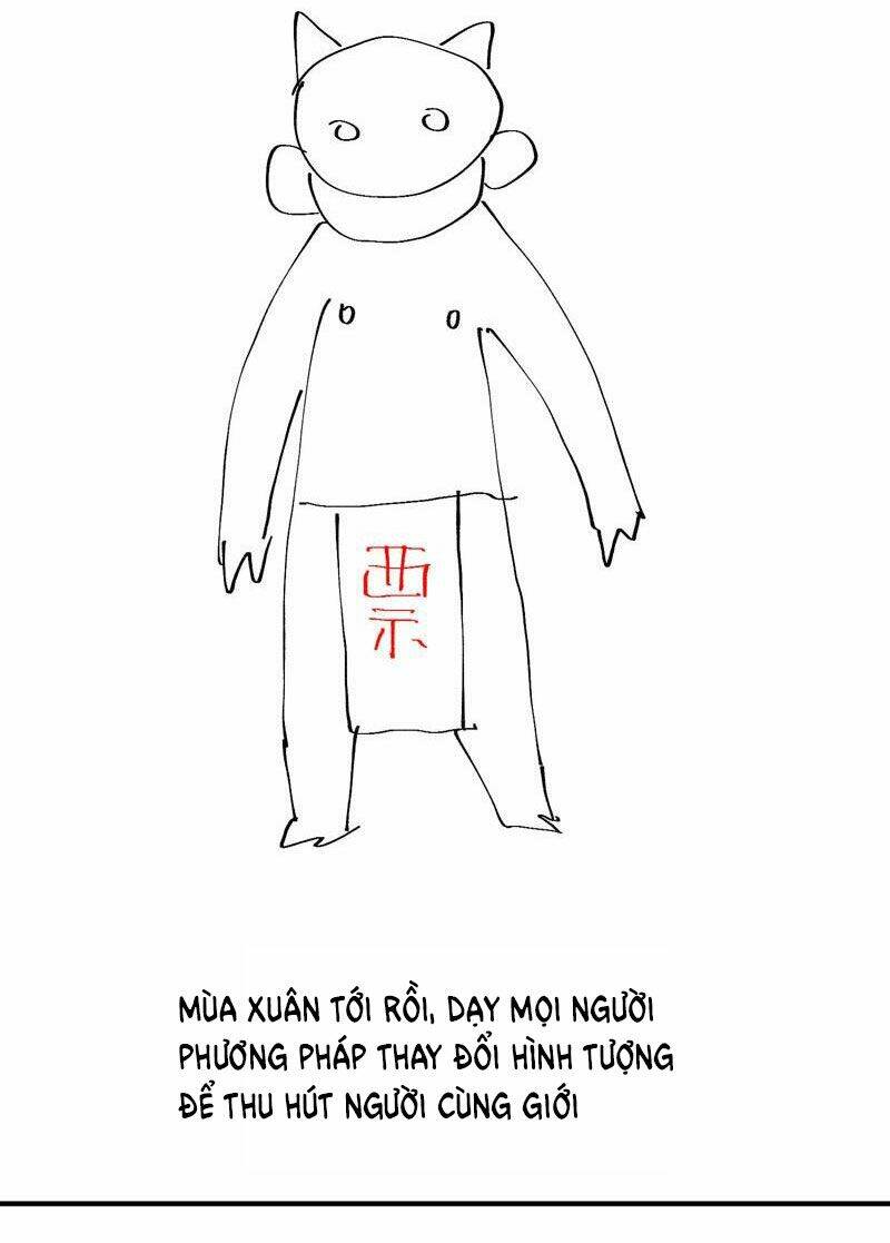 image 45