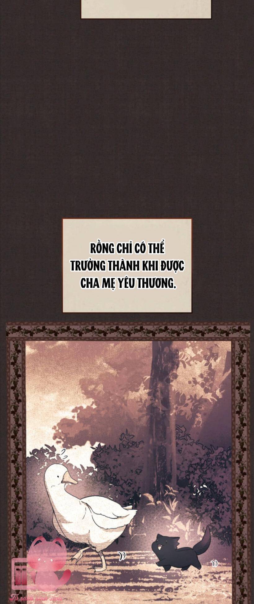 image 37