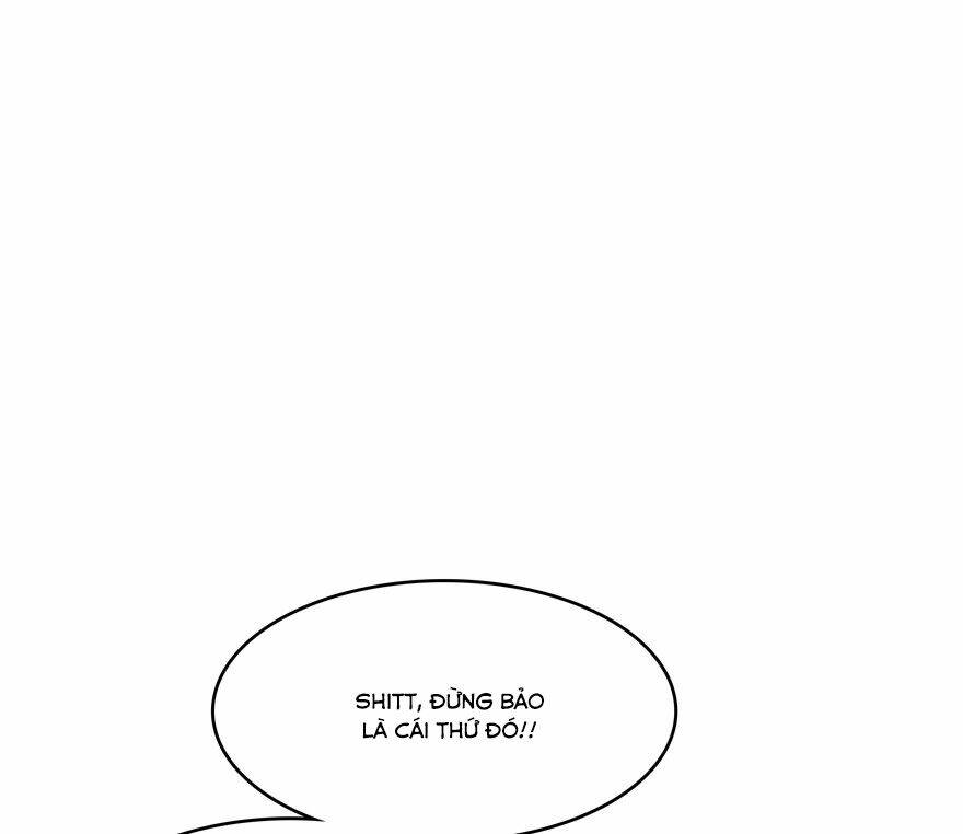 image 41
