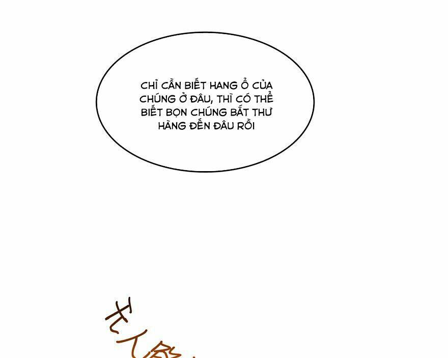image 26