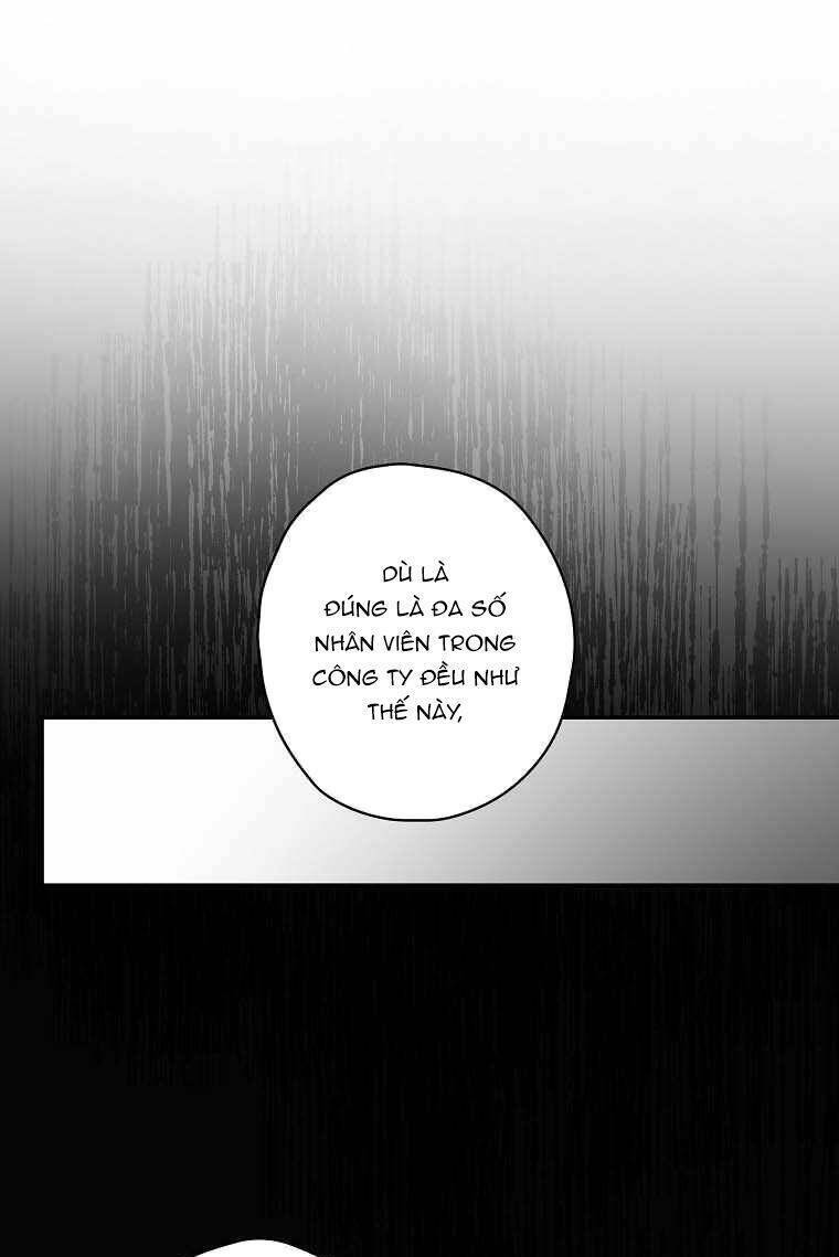 image 37